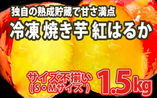 
                  K1947 【数量限定】サイズ不揃い さつまいも 熟成 紅はるか 冷凍 焼き芋 1.5kg 茨城県 境町
                