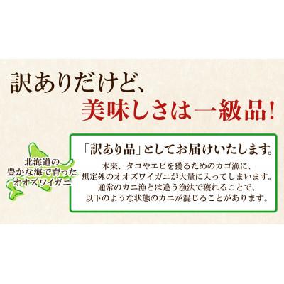 ふるさと納税 鹿部町 北海道産 訳あり ボイルオオズワイガニ 3kg(約10〜18尾) KS24 |  | 02