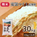 【ふるさと納税】元気つくし 精米 30kg 定期便 精米 米 お米 コメ ごはん ご飯 おこめ こめ 備蓄 長持ち 防災 夕食 晩ごはん 地震 緊急 避難 福岡 川崎