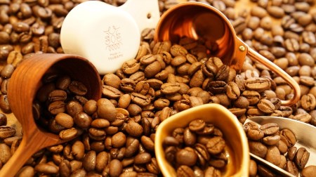 【山の焙煎所】スペシャルティコーヒー160g×2種：豆　中煎り