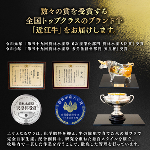 近江牛 焼肉 500g 冷凍 ロース 近江牛 近江牛 近江牛 近江牛 近江牛