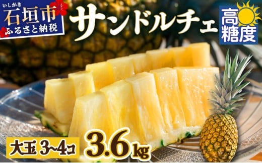 【先行予約】サンドルチェ大玉3～４個 計3.6kg 《2026年7月中旬以降発送》 【 産地直送 沖縄 石垣 フルーツ パイナップル パイン サンドルチェ 】SI-42