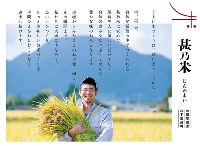 【新米】令和7年産 甚乃米 ひとめぼれ 10kg 白米 精米 AC023