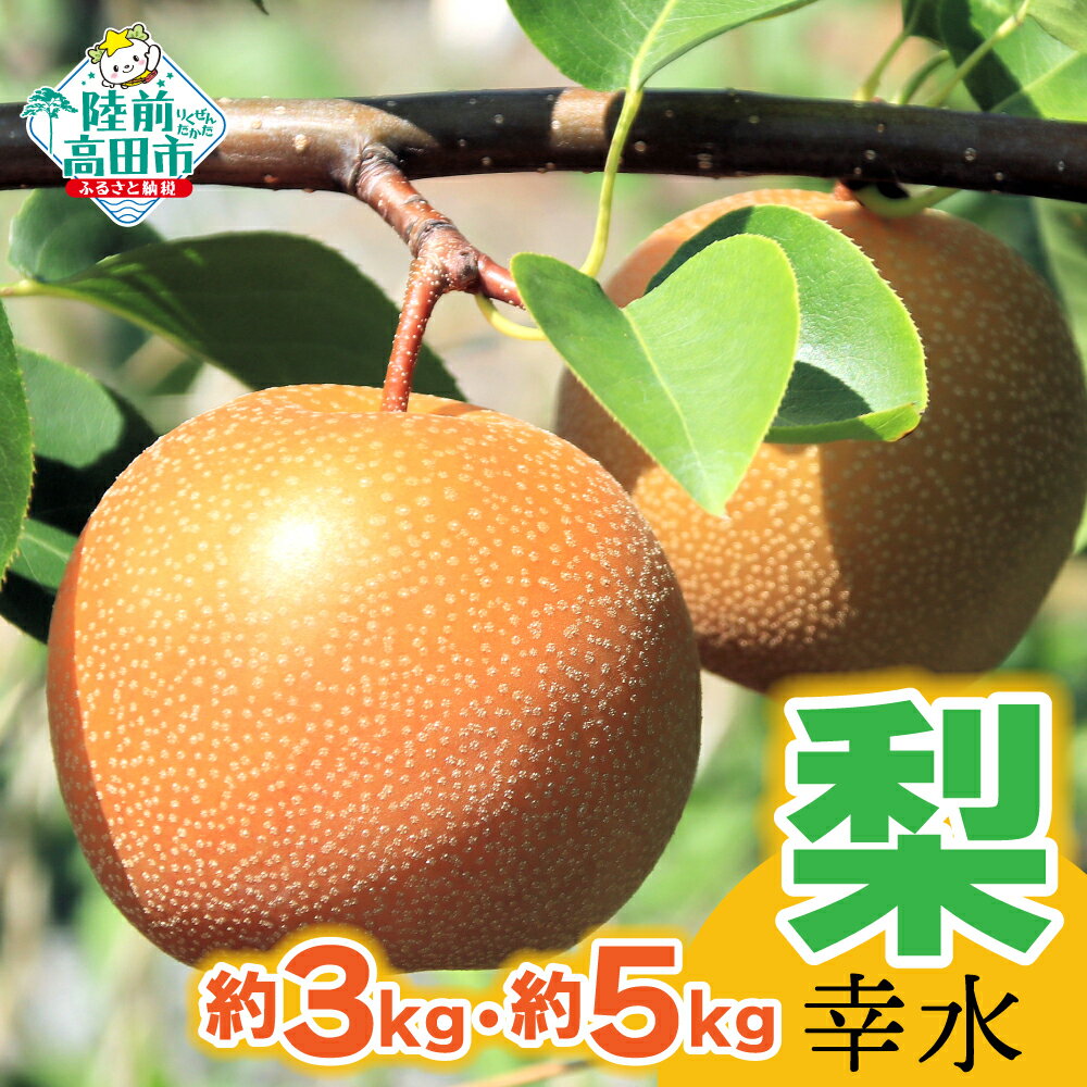 【ふるさと納税】先行予約 梨 幸水 3kg 5kg 内容量が選べる 数量限定 個数限定 [ フルーツ 果物 なし 和梨 幸水梨 デザート 旬 秋 人気 おすすめ ギフト プレゼント 贈答品 産地直送 送料無料 お取り寄せ 8月 9月 岩手 陸前高田 熊谷農園 ] 2026年9月から発送予定