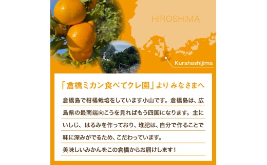 【先行受付】【2026年12月～発送】 倉橋ミカン食べてクレ園 いしじみかん 約5kg / 贈答用 甘い 完熟 オレンジ ワックス不使用 防腐剤不使用 温州ミカン 果実 倉橋島 広島県 呉市 ku15
