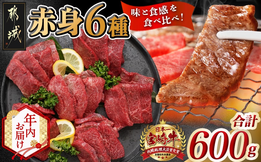 【年内お届け】宮崎牛赤身6種600g≪2025年12月15日～31日お届け≫_16-2601-HNY_【肉 牛肉 焼き肉 焼肉 人気 おすすめ 国産 宮崎県産】