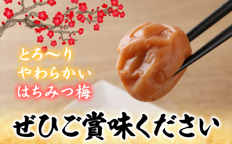 梅干し はちみつ梅干し 1kg 大玉 3L 和歌山県産 株式会社とち亀物産 《30日以内に出荷予定(土日祝除く)》 和歌山県 日高町 梅 うめ はちみつ梅 蜂蜜 梅干し うめぼし 紀州南高梅 漬物 漬