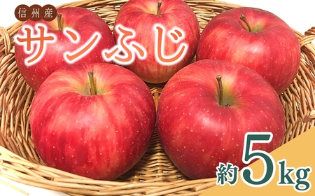 【2026年先行予約】ザ・王道 りんご サンふじ 約5kg |りんご