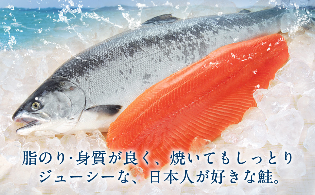 【6カ月定期便】【訳あり】 厚切り 銀鮭切身 約1kg×6回 合計約6kg