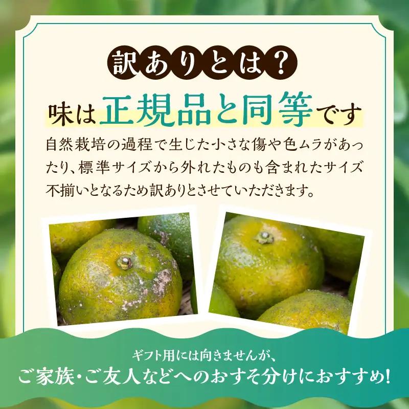 ≪訳あり≫ 橙 (だいだい) 計3.8kg以上 傷み補償分入り _ZZ35-26
