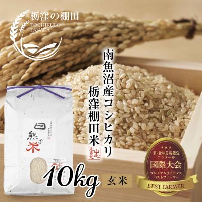 ふるさと納税 南魚沼市 【栃窪の棚田米】 新潟県 南魚沼産  コシヒカリ 玄米 10kg  日熊の米