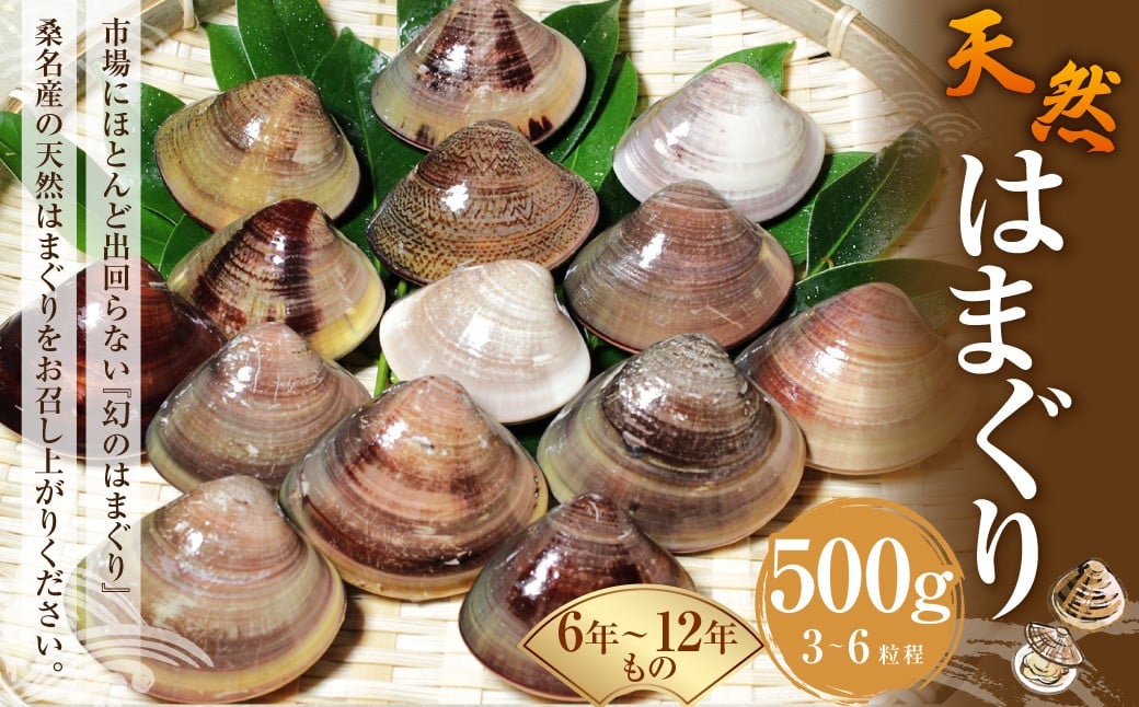 【指定日必須】 桑名産 天然はまぐり 6年～12年もの 500g ハマグリ 蛤 貝 カイ 天然 魚介 魚介類 海鮮 海の幸 冷蔵