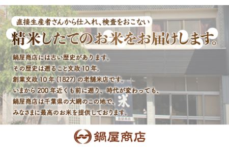 ＜6ヶ月定期便＞2年連続特A評価！千葉県産コシヒカリ10kg×6ヶ月連続 計60kg E021