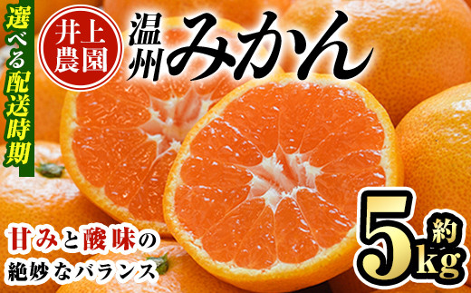 
            ＜配送時期が選べる＞数量限定 大分県宇佐市産 温州みかん 約5kg(11月～12月は早生みかん) みかん ミカン 蜜柑 柑橘 フルーツ 果物 くだもの 果実 国産【103600101】【井上農園】
          