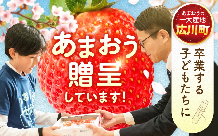 あまおうG等級 いちご イチゴ 苺 果物