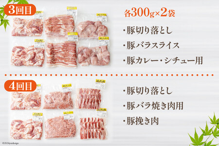 6ヶ月 定期便 豚 鶏肉 小分け お料理 セット 計10.8kg 肉 毎月 お届け 冷凍 宮崎県産 国産 若鶏 鳥 切落し ロース 生姜焼き 豚肉 とんかつ 豚肉 ひき肉 ミンチ 鶏肉 もも カット 