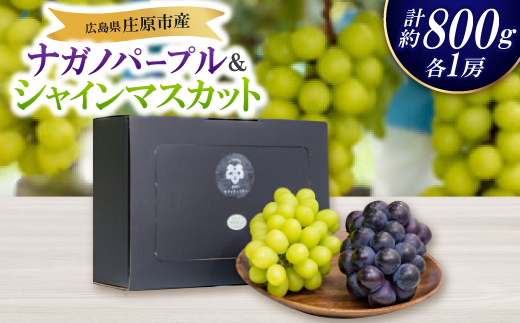
            ＜先行受付＞ナガノパープル・シャインマスカット食べ比べセット【1465072】
          