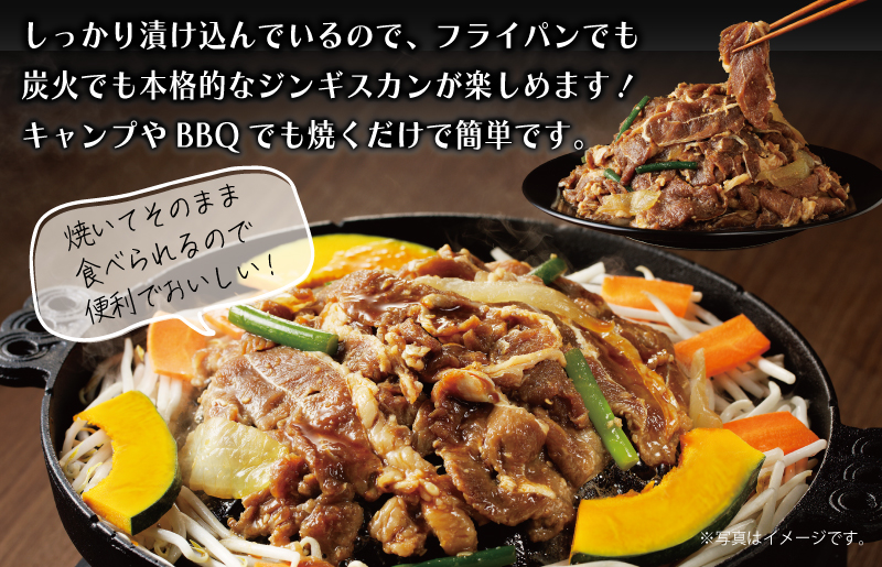 味付け ジンギスカン 1.5kg【6人前 小分け 250g×6P 羊肉 ラム 焼肉 バーベキュー 冷凍 簡単調理 北国からの贈り物】 015B400