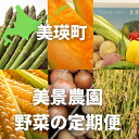 【ふるさと納税】【令和7年産予約受付！】野菜の定期便　(5ヶ月・6ヶ月)　野菜　送料無料　美瑛　北海道美瑛　北海道美瑛町　美瑛町　美瑛産　北海道産　アスパラ　アスパラガス　メロン　赤肉メロン　夏野菜　秋野菜　米　野菜定期便　北海道メロン　美景農園