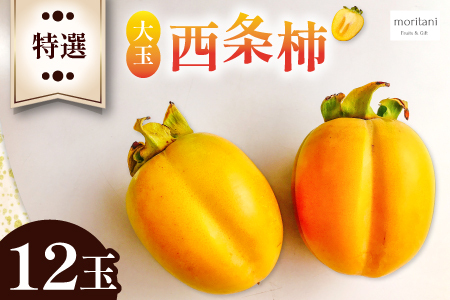 A-633 特選大玉西条柿12玉