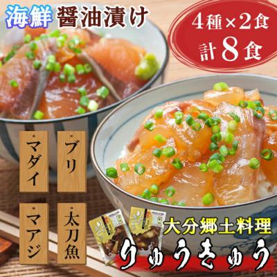 ふるさと納税 杵築市 豊後絆屋　大分郷土料理りゅうきゅう漬けセット(4種×2食)A
