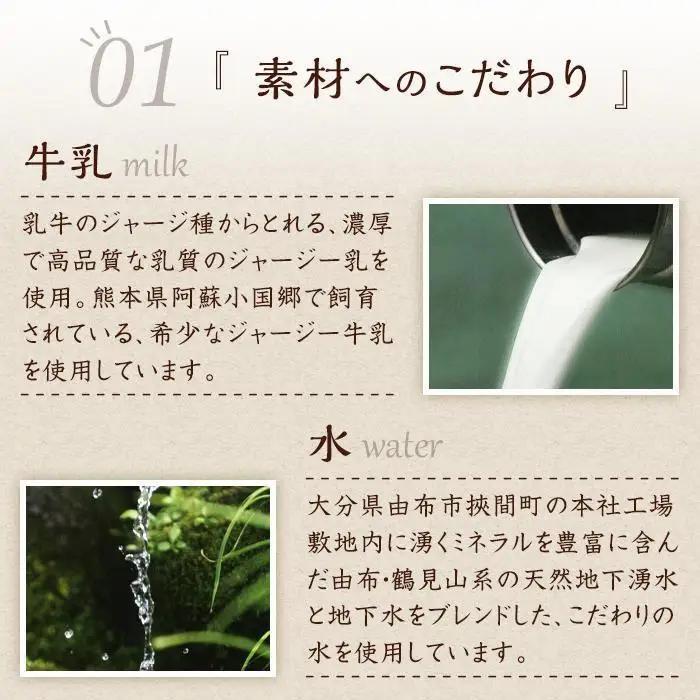 ＼年内発送／ 【お菓子の菊家】ゆふいん創作菓子 ぷりんどら 12個入 | プリン ぷりん どら焼き