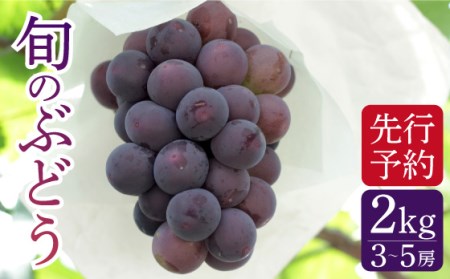 【2026年7月-発送】【採れたてをお届け！】旬のぶどう ＜ブラックビートor巨峰orピオーネ＞ 合計2kg / ぶどう ブドウ 葡萄 グレープ フルーツ ふるーつ 果物 /  南島原市 / ながいけ [SCH037]