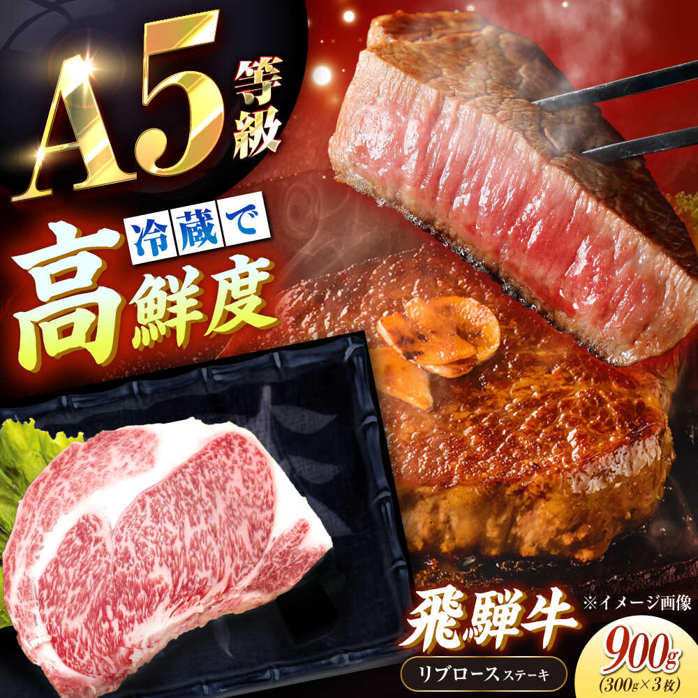 【ふるさと納税】【チルド（冷蔵）発送！】 牛肉 「飛騨牛」 A5等級 リブロース ステーキ用 300g×3枚 / 肉 お肉 にく牛肉 飛騨牛 和牛 国産和牛 ブランド牛 お取り寄せ ステーキ 焼肉 おすすめ 人気 贈答用 ギフト 焼肉 バーベキュー /恵那市/東美濃農業協同組合[AUFX022]