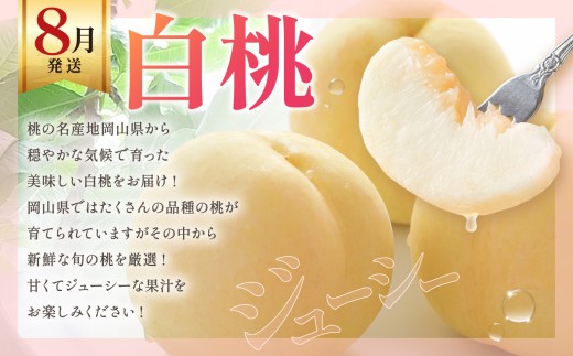 【2027年発送】【定期便】岡山の白桃とシャインマスカット２回お届け（令和9年8月下旬～9月下旬頃発送）【岡山県産 桃 白桃 ぶどう 葡萄 シャインマスカット 2回 フルーツ 果物 くだもの デザート