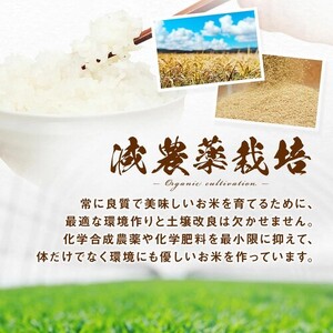 【令和7年度産】ななつぼし 精米 4.5kg【小玉農園】【CF-002】