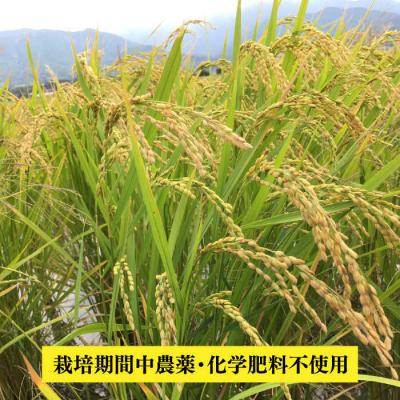 ふるさと納税 糸島市 【令和7年産】伊都の米(ヒノヒカリ)2kg 糸島市/伊都福祉サービス協会[APL001] |  | 02