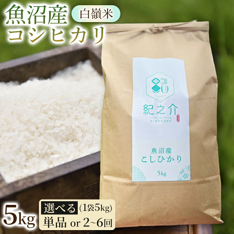 【ふるさと納税】【令和8年産先行予約】魚沼産コシヒカリ 白嶺米 5kg(5kg×1袋) 選べる配送回数 | 新潟産コシヒカリ 新潟県産コシヒカリ 魚沼産こしひかり 米 お米 こしひかり 白米 精米 ブランド米 津南町 株式会社紀之介