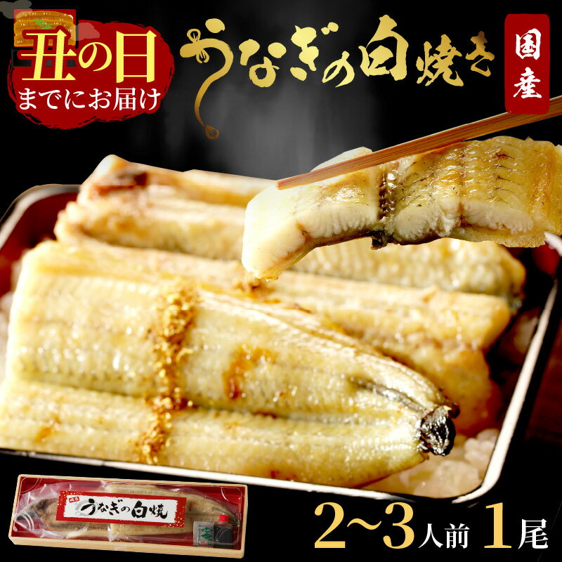 【ふるさと納税】【 土用の丑の日 までに 届く！ 】京都丹後の名店居酒屋がお届けするうなぎの白焼き2~3人前(1尾) ふるさと納税 ウナギ 鰻 白焼 しらやき タレ 国産 丑の日 うなぎ 鰻 惣菜 京都 ギフト 贈り物 お祝い