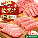 【ふるさと納税】【全6回定期便】【隔月発送】佐賀牛 極上定期便【田中畜産牛肉店】 [HBH121] 黒毛和牛 ステーキ スライス 焼肉 農林水産大臣賞 佐賀 赤身 サーロイン