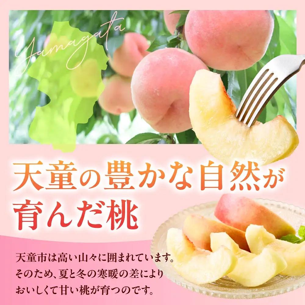 もも 秋香雪桃 大玉 2.5kg フルーツ 果物 山形 桃