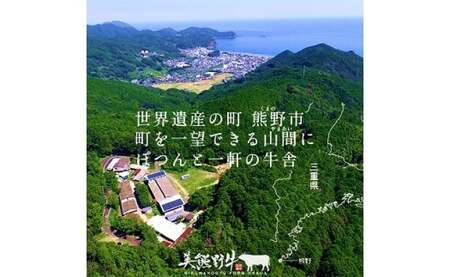 【3回定期便C】牛肉 美熊野牛 牛肉定期便【okad-tkb0013】
