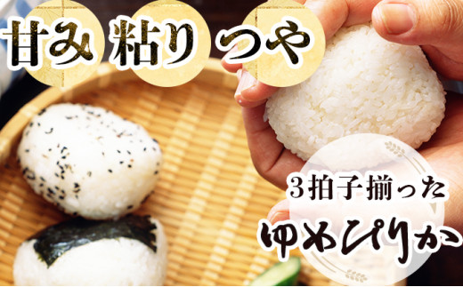 『100%自家生産精米』善生さんの自慢の米 ゆめぴりか5kg※一括発送【06123】[a104-101] 精米　ゆめぴりか5kg