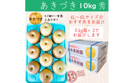 あきづき 10kg 18～24玉 | 栃木県産 宇都宮市 梨 なし あきづき フルーツ 果物 旬 産地直送 ※2026年9月～発送