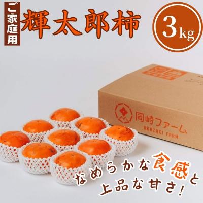 ふるさと納税 八頭町 輝太郎柿 3kg(ご家庭用)