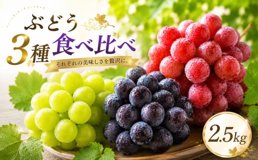 ぶどう 食べ比べ 3種類 2.5kg 先行予約 数量限定 旬採りぶどう詰め合わせ 5~6房 | 先行予約 数量限定 期間限定 ぶどう フルーツ 果物 産地直送 限定品 贈り物 新鮮 お取り寄せ デザート ギフト 風味豊か 香り 甘い 限定 フルーツ ブドウ 葡萄 旬 ジューシー みずみずしい 季節のフルーツ あかぎおろし 前橋市 群馬県