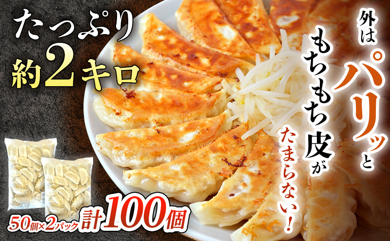 餃子 しゅうまい 湘南 ぎょうざ 100個 ルイビ豚 焼売 24個 セット 大容量 焼き餃子 おかず 総菜 おつまみ お弁当 弁当 お取り寄せ ギョーザ 冷凍 神奈川 藤沢 餃子 餃子 餃子 餃子 餃