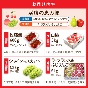 【2026年 4回定期便】2026年 フルーツ王国 満腹の恵み便 千笑花夢提供 山形県 東根市 hi082-045 サクランボ さくらんぼ 佐藤錦 フルーツ 果物 くだもの ぶどう シャインマスカット