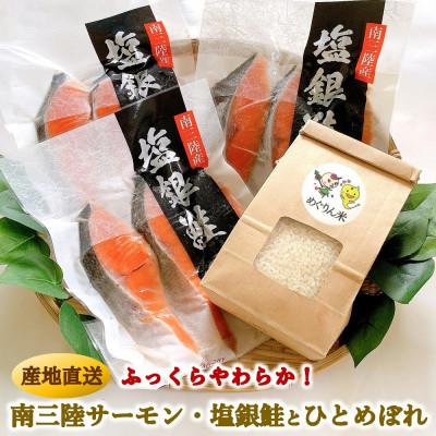 ふるさと納税 宮城県 ふっくら柔らか!宮城県南三陸サーモン、塩銀鮭・小分けタイプ3切れ×3袋&amp;ひとめぼれ米2合のセット