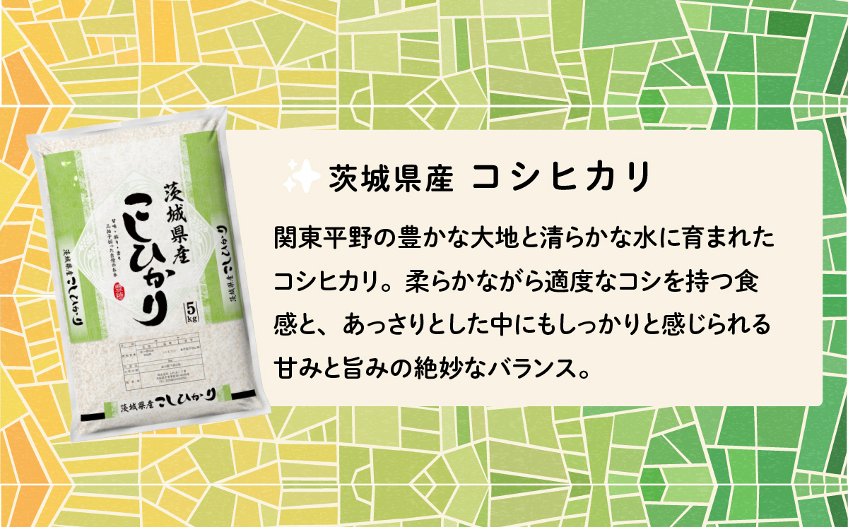 【5月発送】コシヒカリ 5kg (5kg x 1袋) 令和7年産 白米 精米 茨城県 下妻市 お米 米