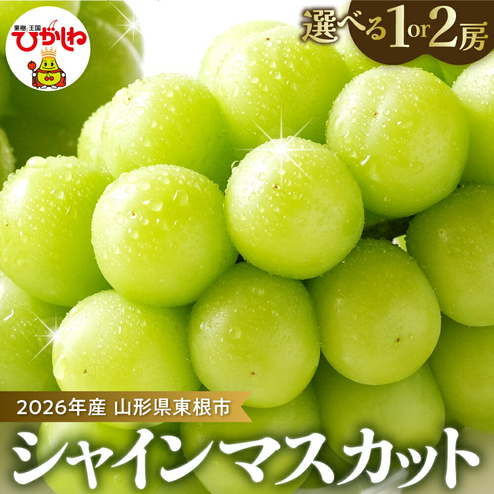 【ふるさと納税】2026年 先行予約 ぶどう「 シャインマスカット 」( 選べる内容量 : 1房 /2房 )/ マスカット ブドウ 葡萄 フルーツ 果物 くだもの 果実 化粧箱 お取り寄せグルメ 期間限定 産地直産 ご当地 お取り寄せ グルメ 東北 山形県 東根市