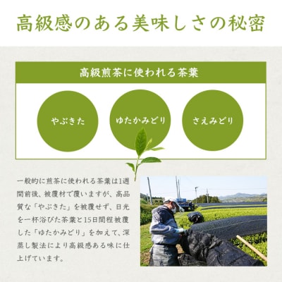 お茶の老舗“厚石園”の【高級煎茶(新茶)100g×4袋】と【ほうじ茶15g×1袋】 A8-31【1166625】