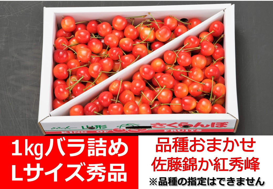 
            さくらんぼ品種おまかせ（佐藤錦か紅秀峰）１ｋｇ　Ｌサイズ　秀品　バラ詰め　0020-2507
          