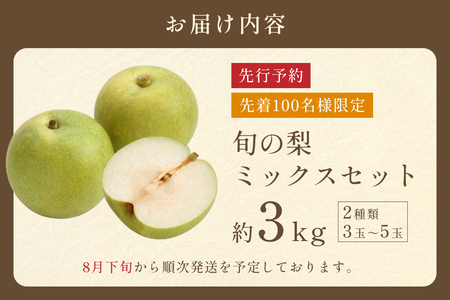 先行予約 品種はおまかせ2種類 旬の梨ミックス 3kg｜鳥取 果物 フルーツ なし 梨【41042】