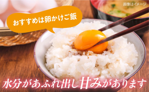 【数量限定25セット】令和6年産 お米 はるみ 10kg 米 お米 こめ おこめ コメ さっぱり 粘り うま味 精米 はるみ 神奈川県 神奈川  10キロ 特Ａ ランキング 【株式会社ヨコショク】 [