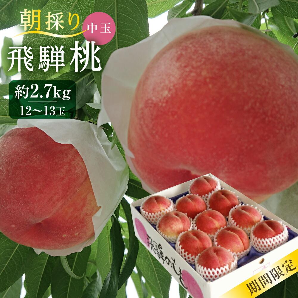 【ふるさと納税】先行予約【7月下旬～8月中旬発送】飛騨桃 中玉 約2.7kg（12～13個）| 桃 もも フルーツ 果物 旬 朝採れ 産地直送 白桃 品種お任せ 飛騨高山 山本果樹園 MA003
